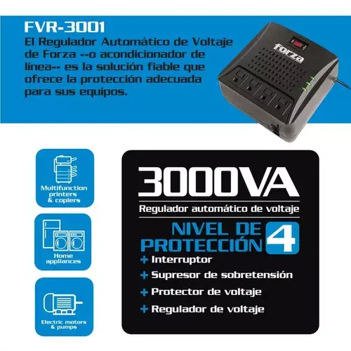 FORZA3001.webp